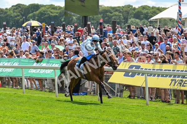 140625-Race 2-My Dream World-2307 - Race 2 2.25pm Queen Mother's Cup Handicap
