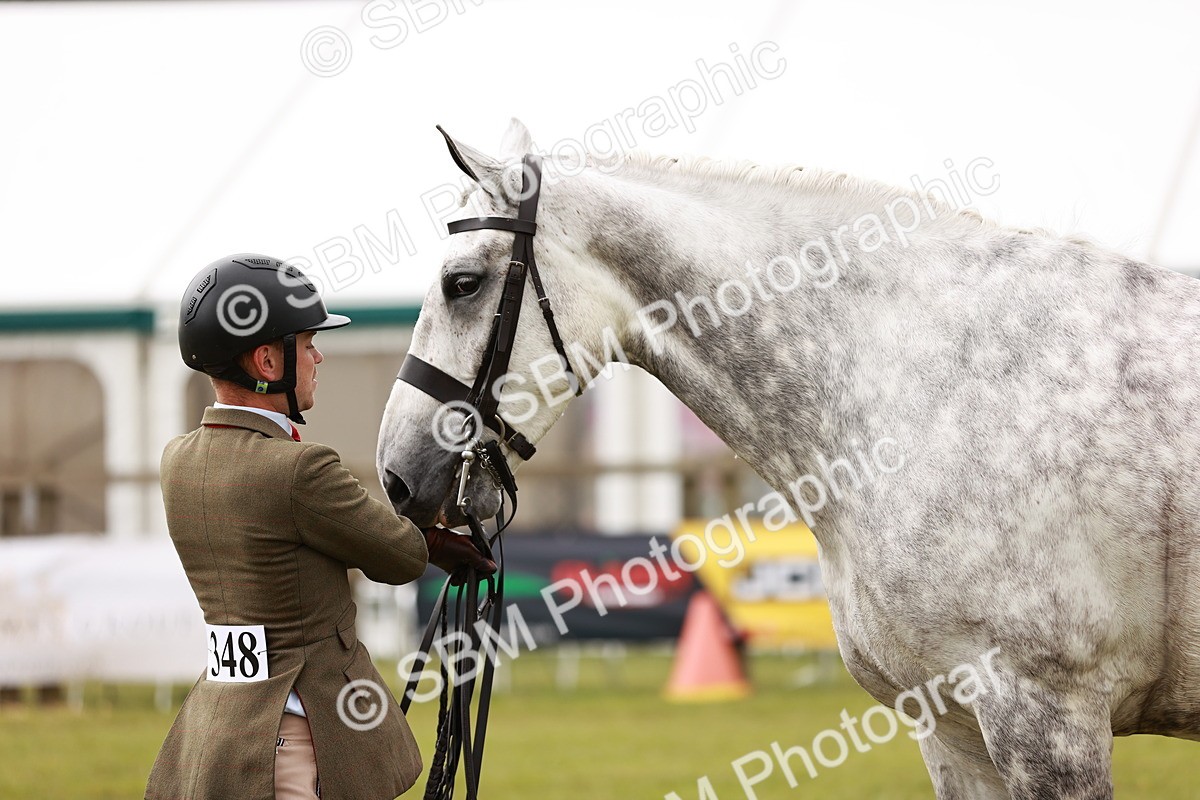 SBM_10947 - Class 81-84 - RIHS Ridden hunters Inc Ladies Hunter
