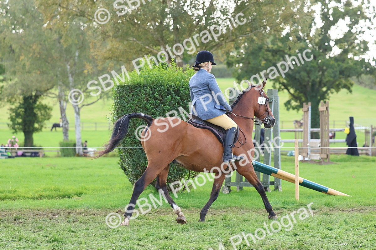 SBM_47637 - S28 - Veteran Ridden