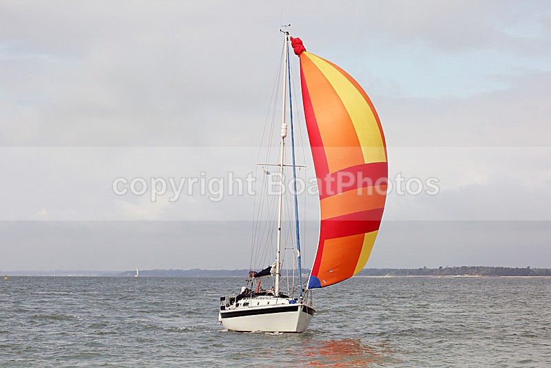 160624 POLAR BEAR Y92A9008 - Sailboats - monohull