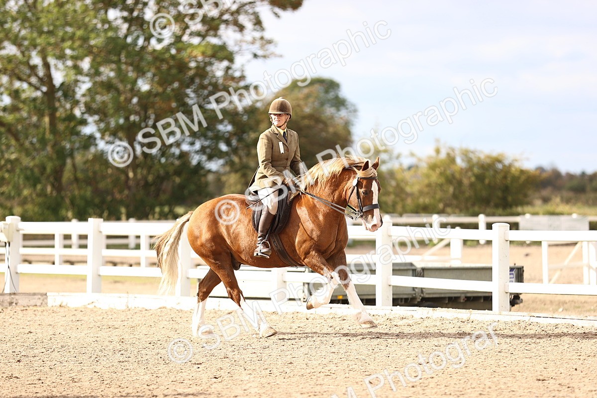 SBM_18167 - Class 423 - Equitation (best rider) Adult