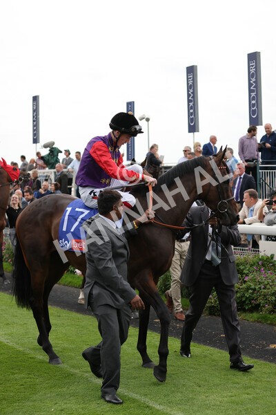 yr20082021r1-5 - Race 1 1.50pm Sky Bet Stakes