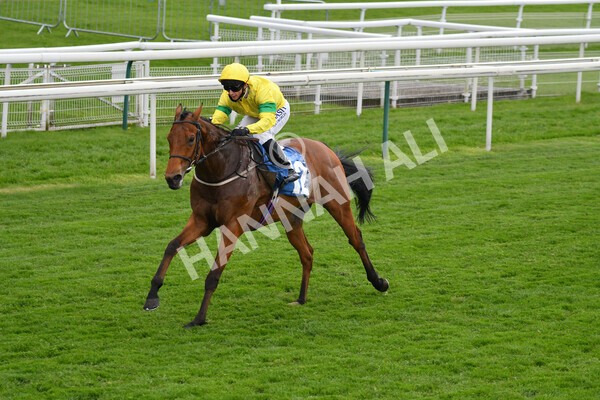 yr14052021r5-30 - Race 5 3.40pm The Jigsaw Sports Branding Handicap