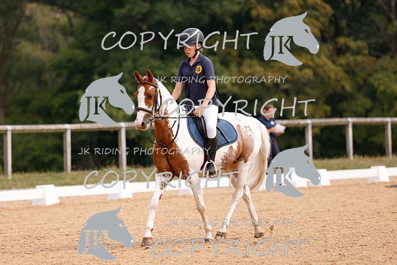 _R6A2592 - Dressage Morning