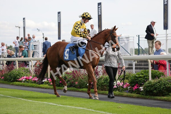 yr08072022r6-3 - Race 6 5.00pm Irish Thoroughbred Marketing Stakes