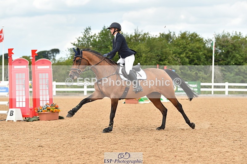 230720A-123312-02581 - Cls 13, 1 Star Bronze 1.10m