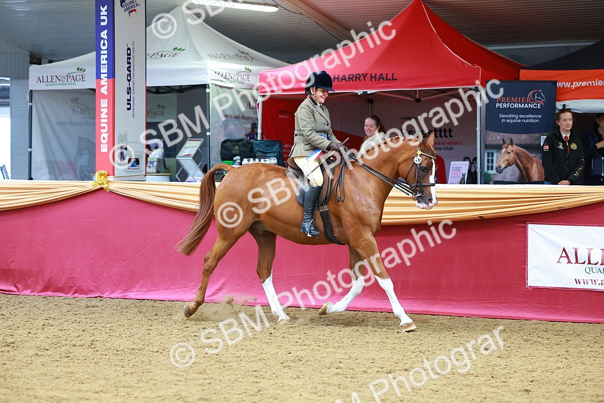 SBM_00863 - Class 6A - Ridden Pre-Vet