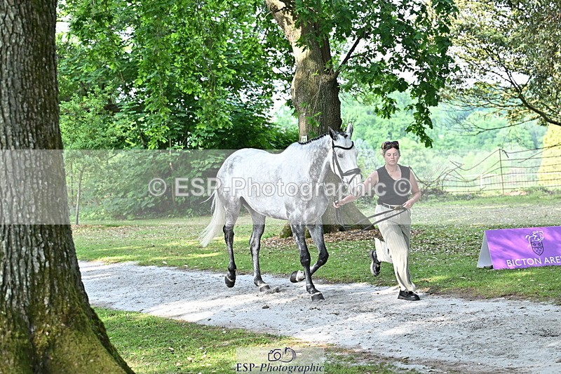 250521A-170108-01469 - C-278-Harriet.Wright-MBF.UP.NORTH