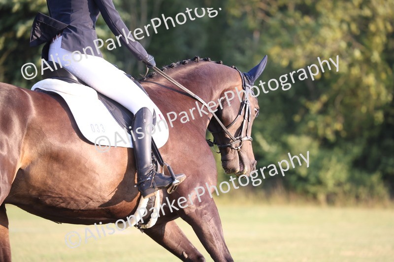 20250731-0424 - Class 3 - Novice 3