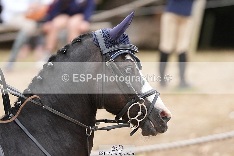 250820A-151001-10625 - Round 2, 14.45 to End