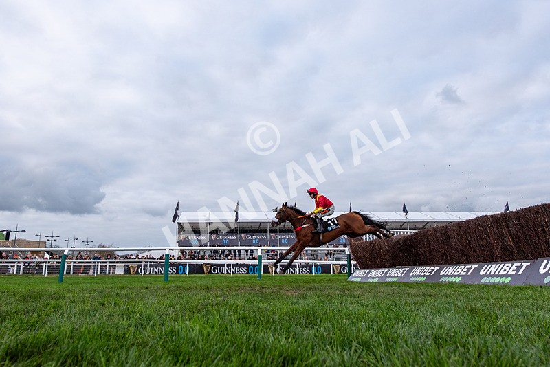 161125-Race 3-Calgary Tiger-2991 - Race 3