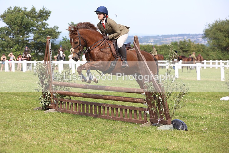 JPP_3681 - Class 23: Working Hunter 80cm