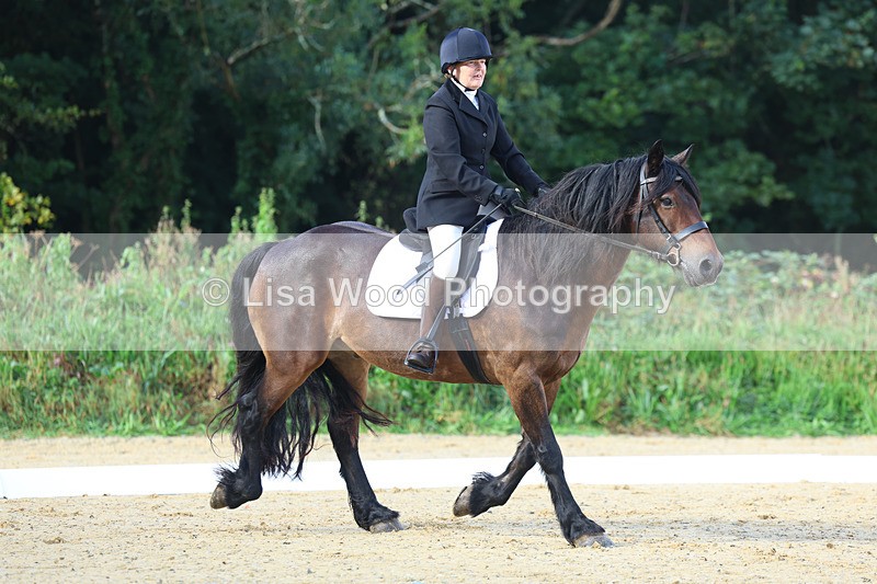 3E7A1872 - Class 1: Intro 4 2024 section A