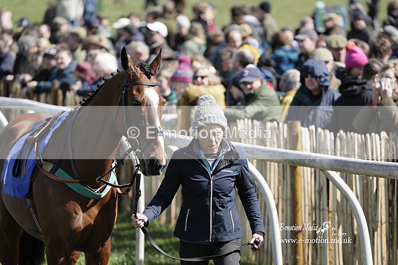 PtP 100423 479 - Old Berkshire Point-to-Point Lockinge 10/04/23