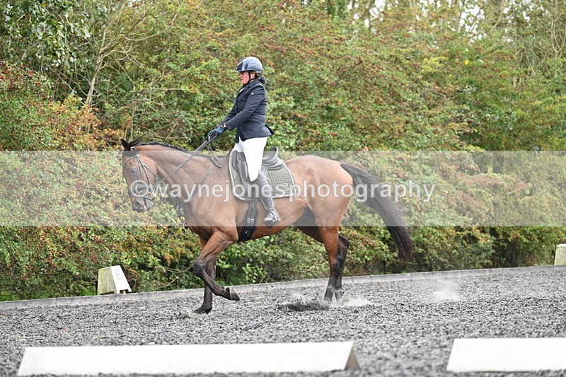 WJ7_6172 - Time 14:10 to 14:45