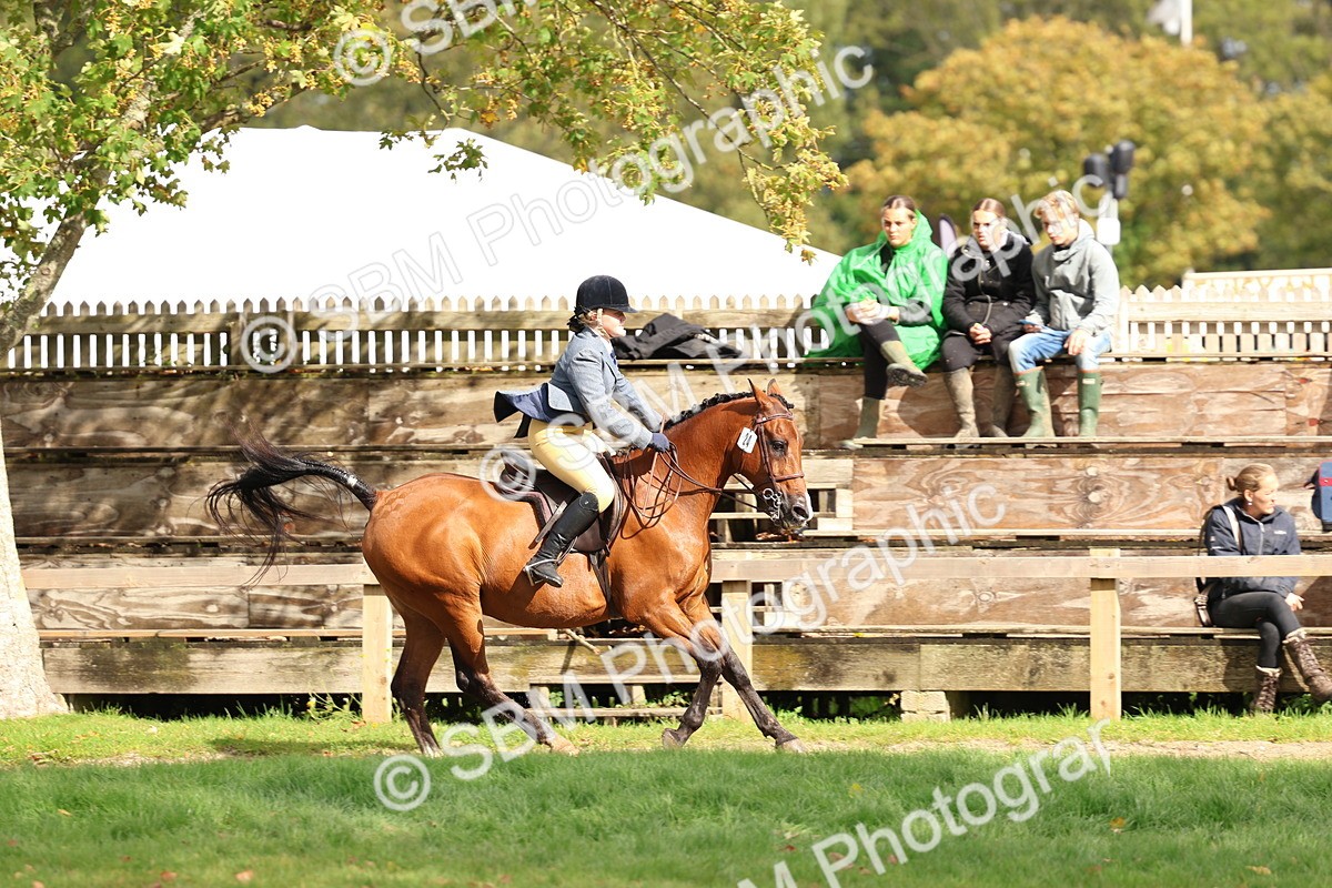 SBM_47711 - S28 - Veteran Ridden