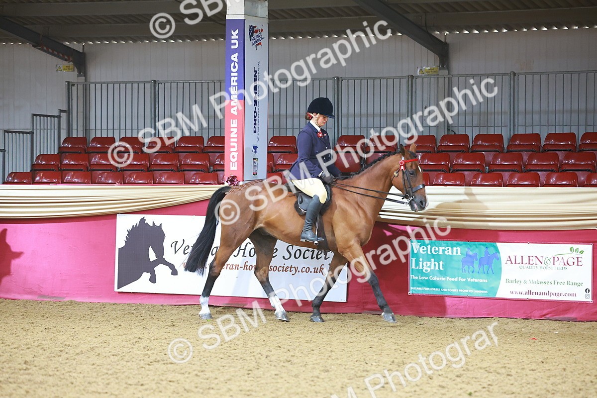 SBM_07572 - Class 101 - HOYS Veteran Qualifier - Ridden Diamond