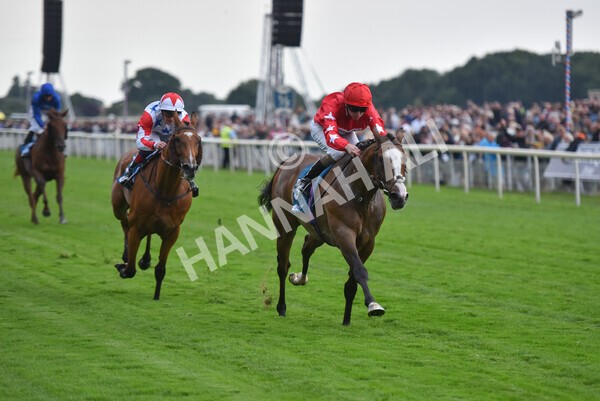 yr22072022r6-20 - Race 6 7.50pm Gallop Racing Stakes