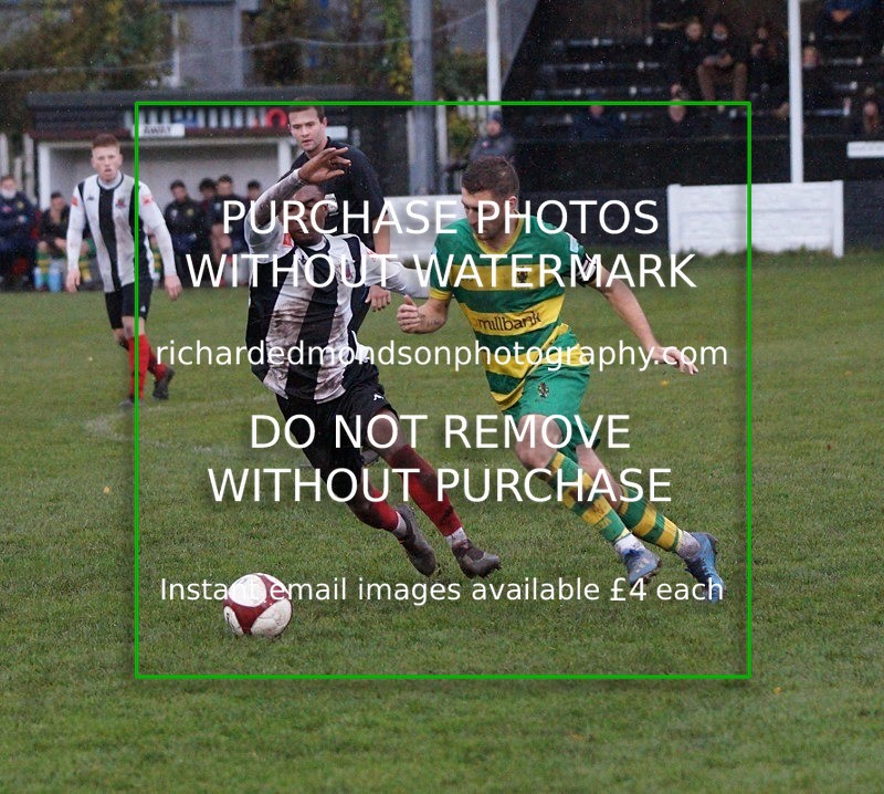 DSC02356 - Runcorn Linnets