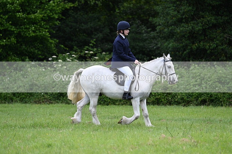 WJ7_2595 - Class 12A Coloured Class