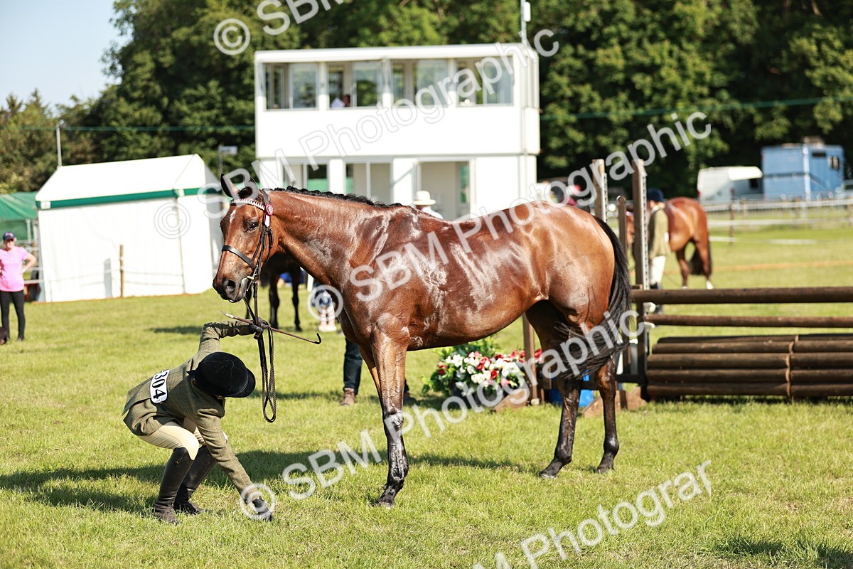 SBM_19280 - Class 115-116 - LIHS BSHA Rising Star Working Hunter & Show Horse