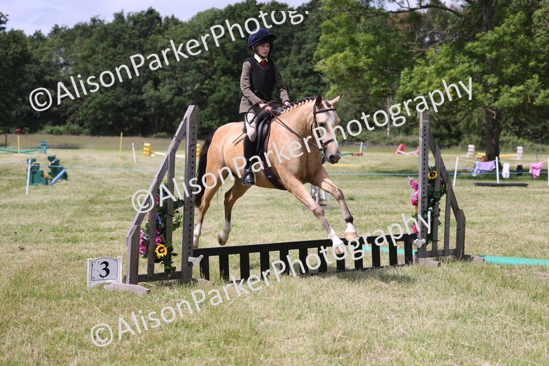 20260614-1775 - Class 21 - Novice Working Hunter Pony