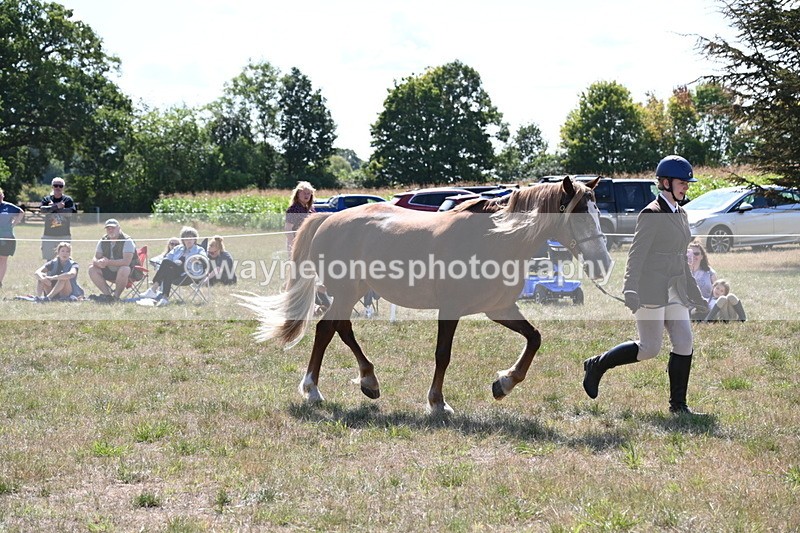 WJ6_4981 - Class 17 Mountain & Moorland