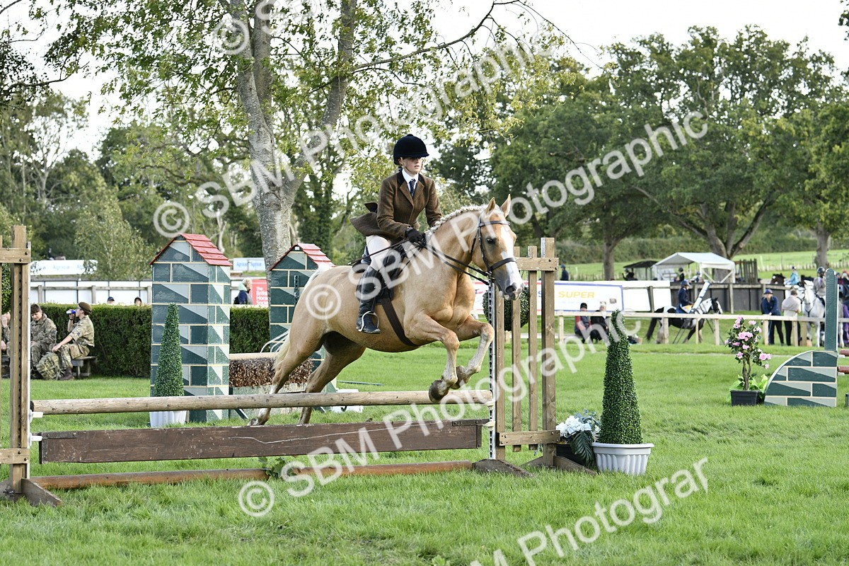 SBM_49956 - S34 - Novice & Newcomers Working Hunter