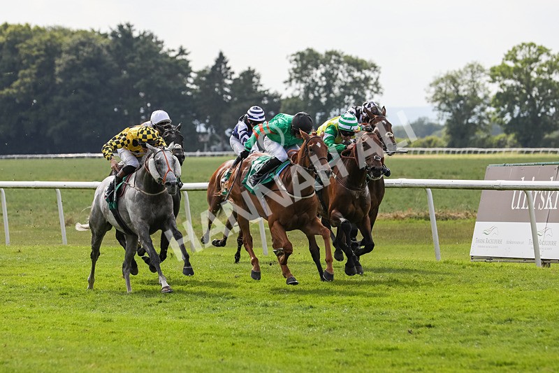 240624-Race 6-Profiteer-0422 - Race 6