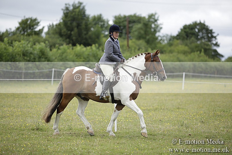 BVR160717-1879 - Ring 1 BVRC Show 16/07/17