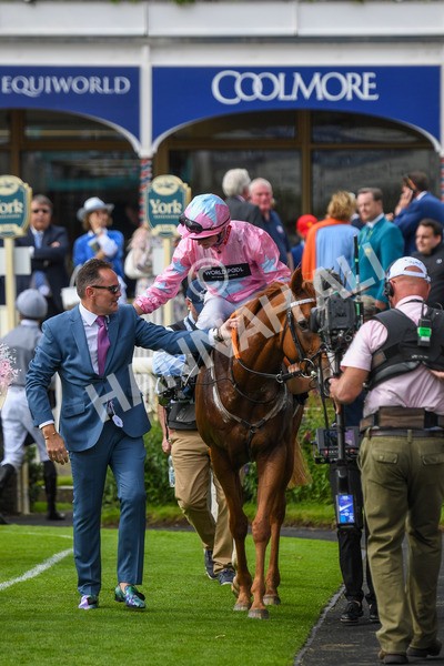 250823-Race 4-Live In The Dream-0730 - Race 4 3.35pm Coolmore Wootton Bassett Nunthorpe Stakes