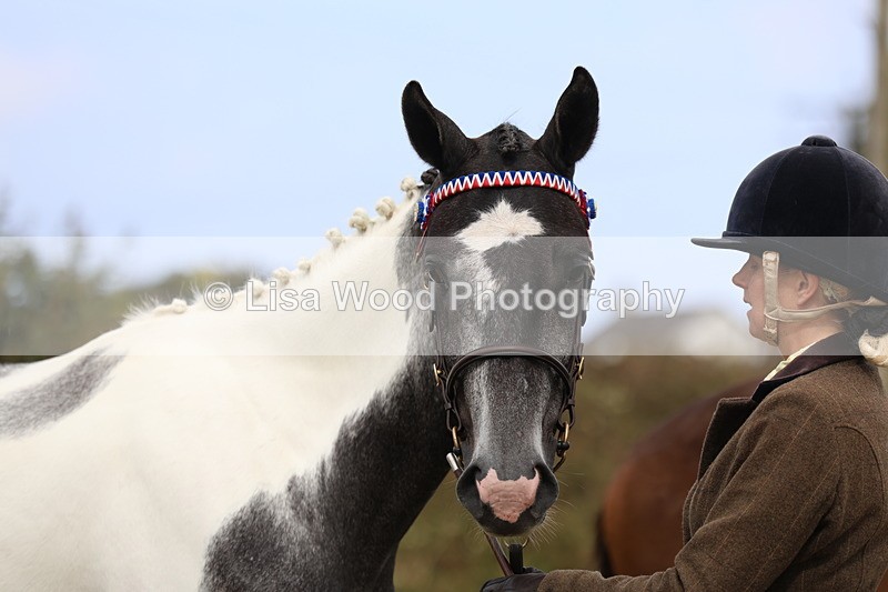 3E7A4250 - Class 15: Two Year Olds