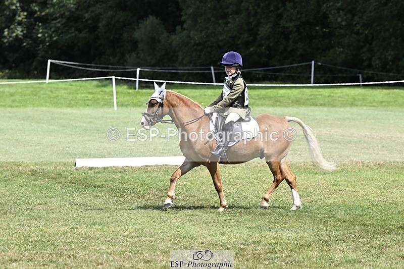 250822A-122136-22723 - DR 11.00 to 12.00