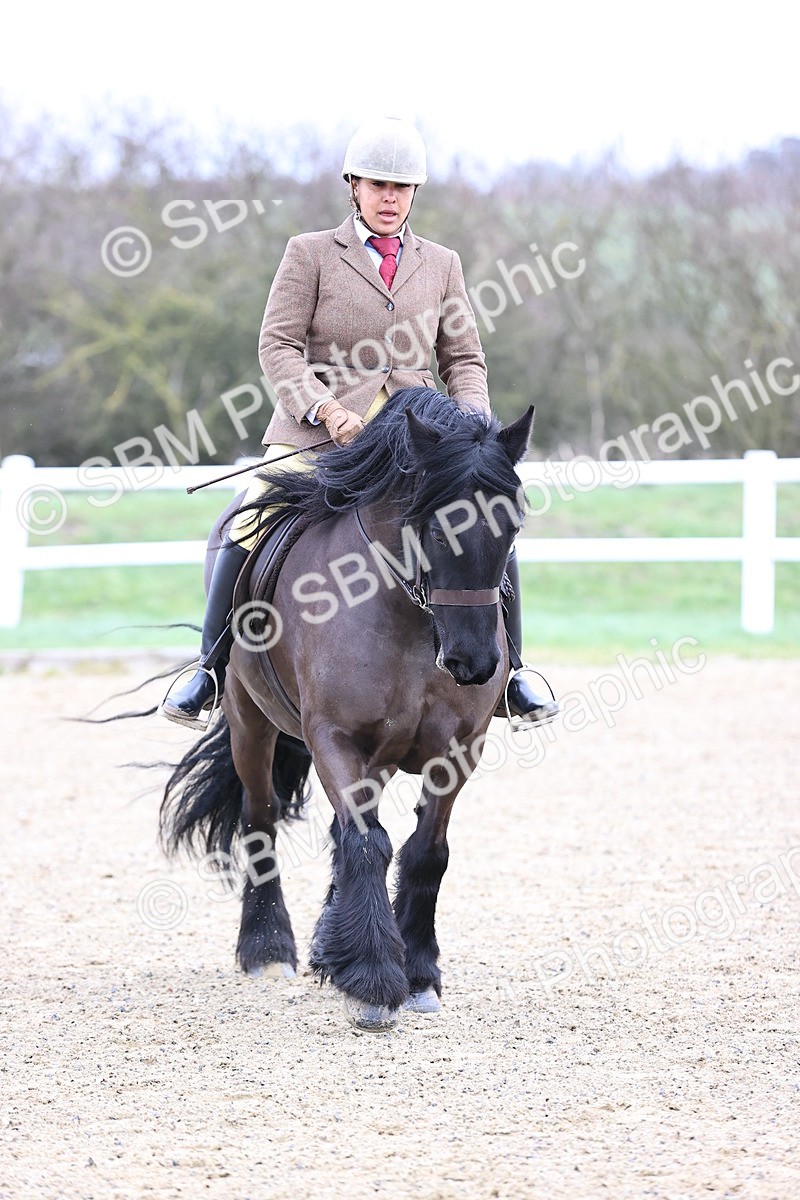 SBM_006984 - Class 29 - 30 - M&M Pure Novice Small-Large Breeds