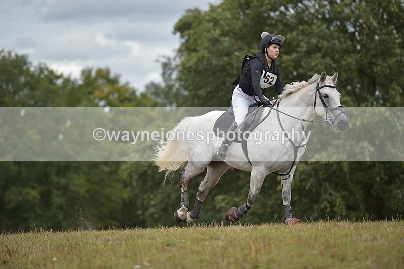 NGP_1914 - XC Time 11:20 to 11:36