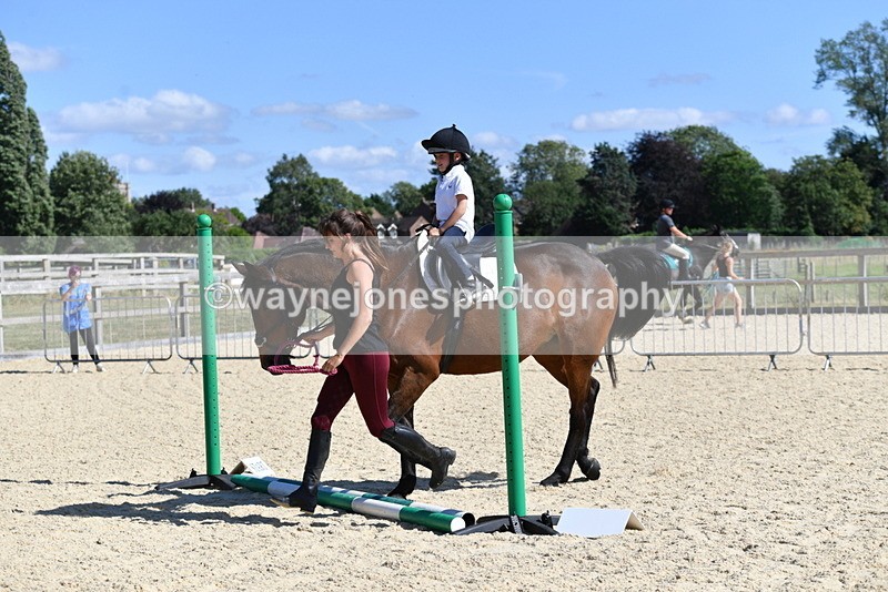 WJ5_5198 - Poles on the Floor