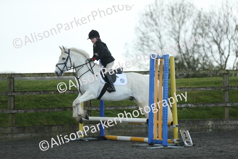 20260412-1924 - Show Jumping