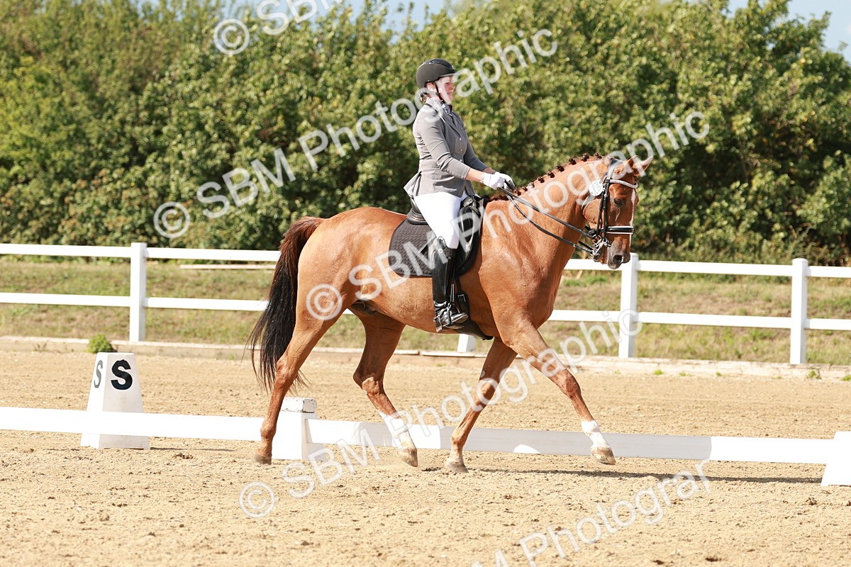 SBM_002548 - Class 11 - Medium 6