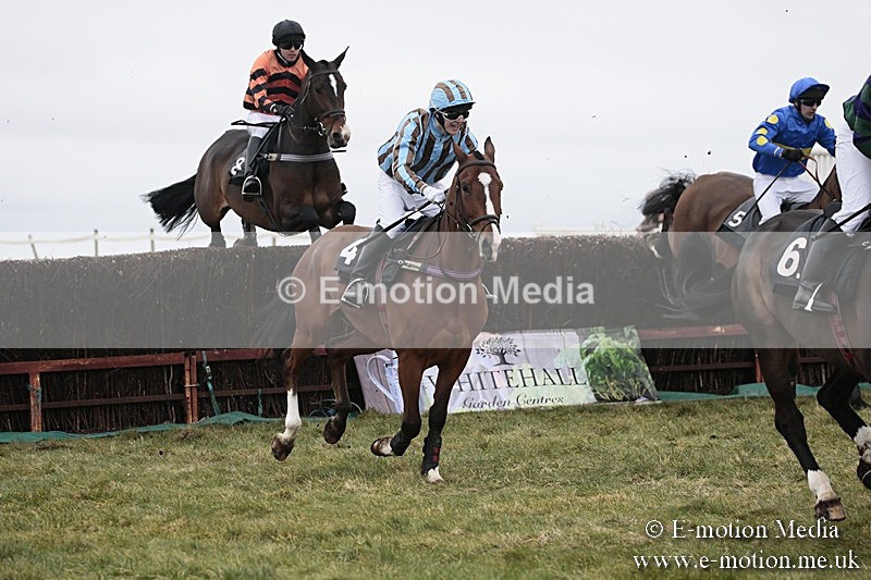 PtP 180218 124 - Combined Services Point-to-Point Larkhill 18/02/18