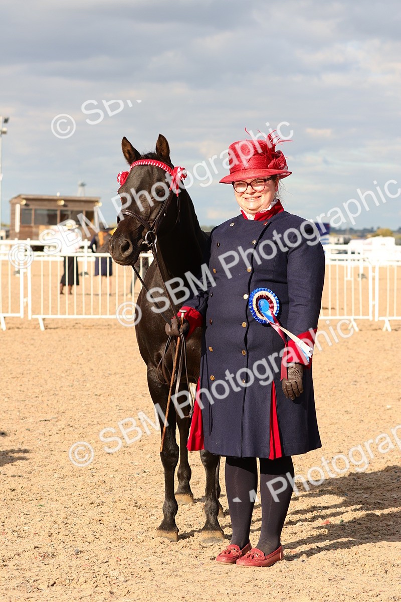 SBM_18424 - Class 318 - IH Part Bred Horse Pony