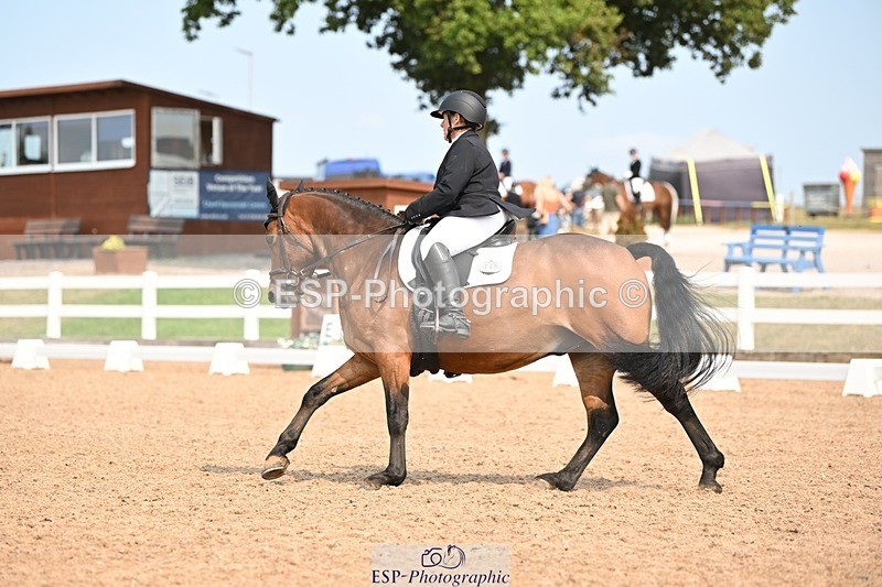 250816-141835-05076 - 049-Carolyn.GaleNewtown.Ringo