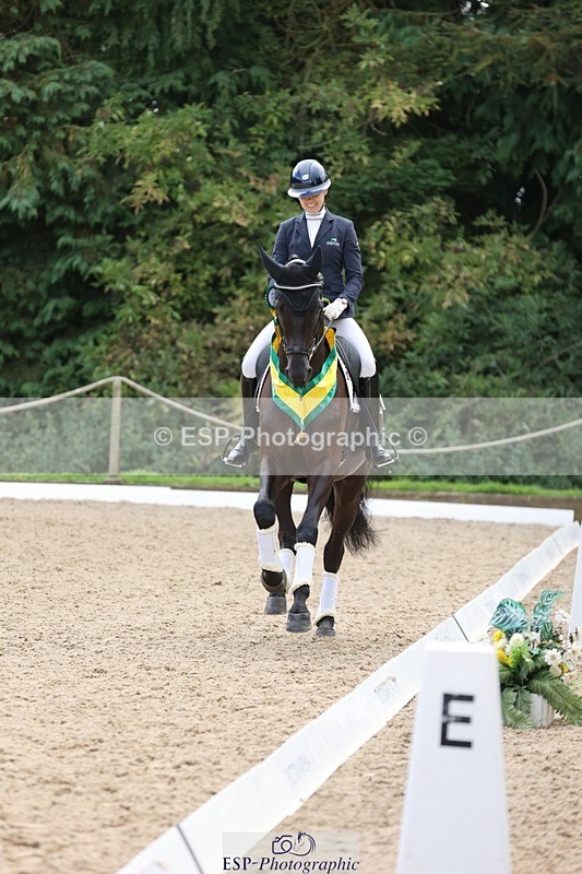 240810-132110-03309 - Medium Gold