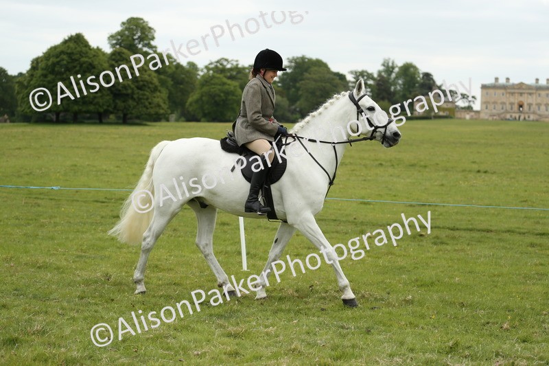 20250517-1559 - Class 22 - Open Working Hunter