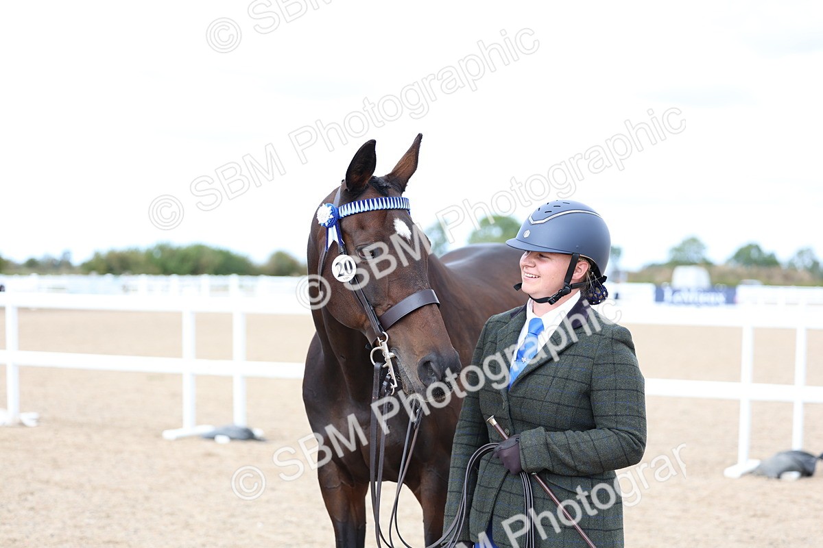 SBM_15276 - Class 313 - IH Retired Racehorse