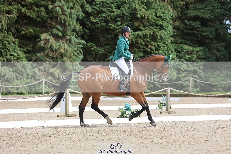 250718A-153026-02585 - 152-Tracy.OKennedy-Wylye.Harlequin