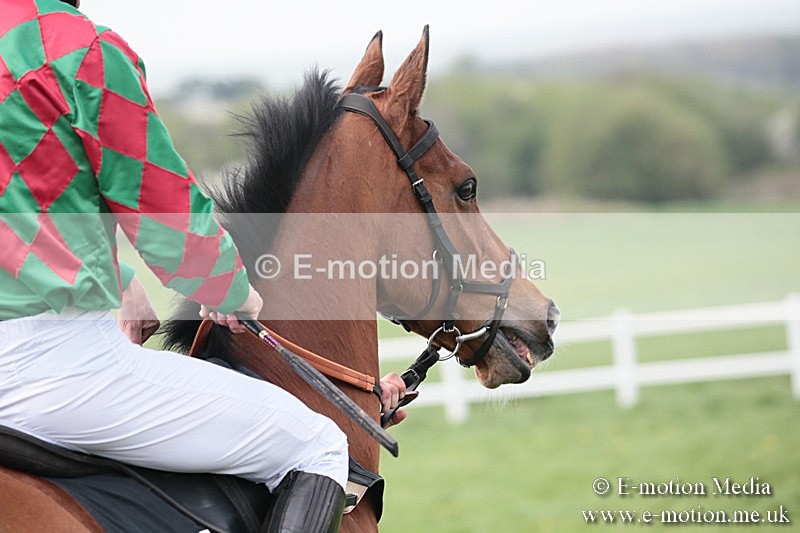 PtP 210418 315 - South & West Wilts Point-to-Point Larkhill 21/04/18