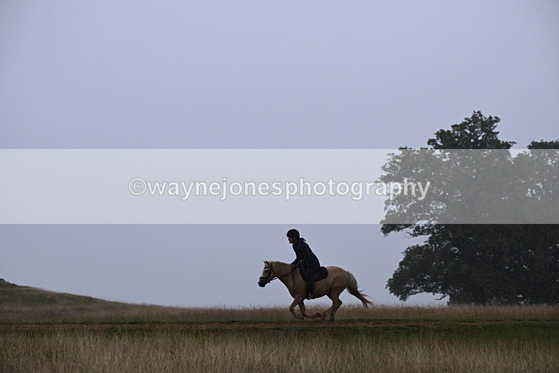 DSC_3016 - Time at Statue 12:59 to 13:49