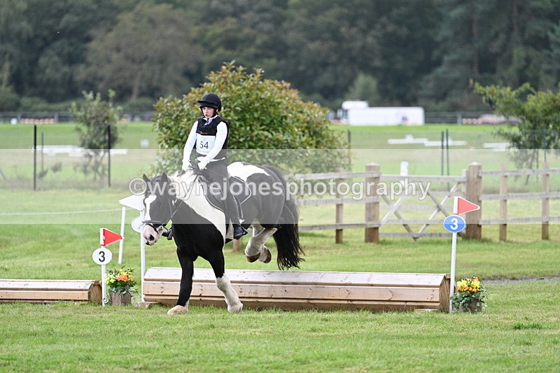 WJ7_8431 - 60cm Time 12:11 to 12:30