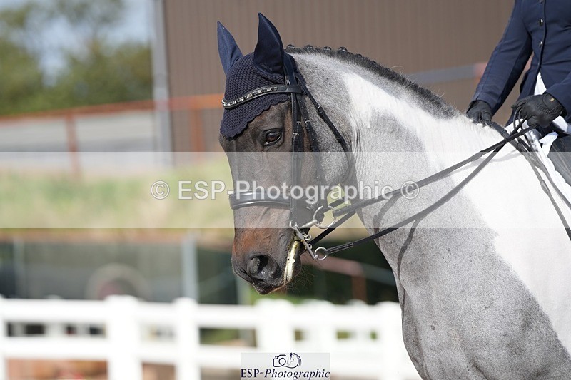 250907-160411-09739 - 125-Heather.UrquhartCrafty.Wizard