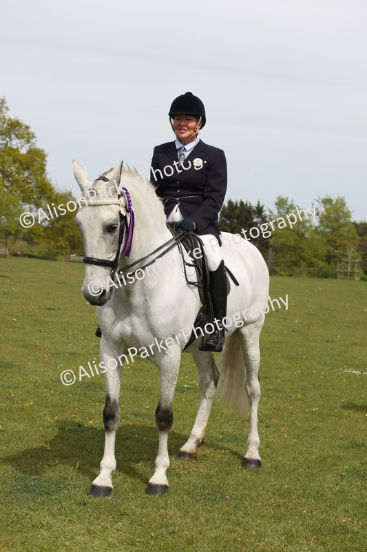 20260426-4440 - Class 34 - Best Riding Horse Over 14.2hh